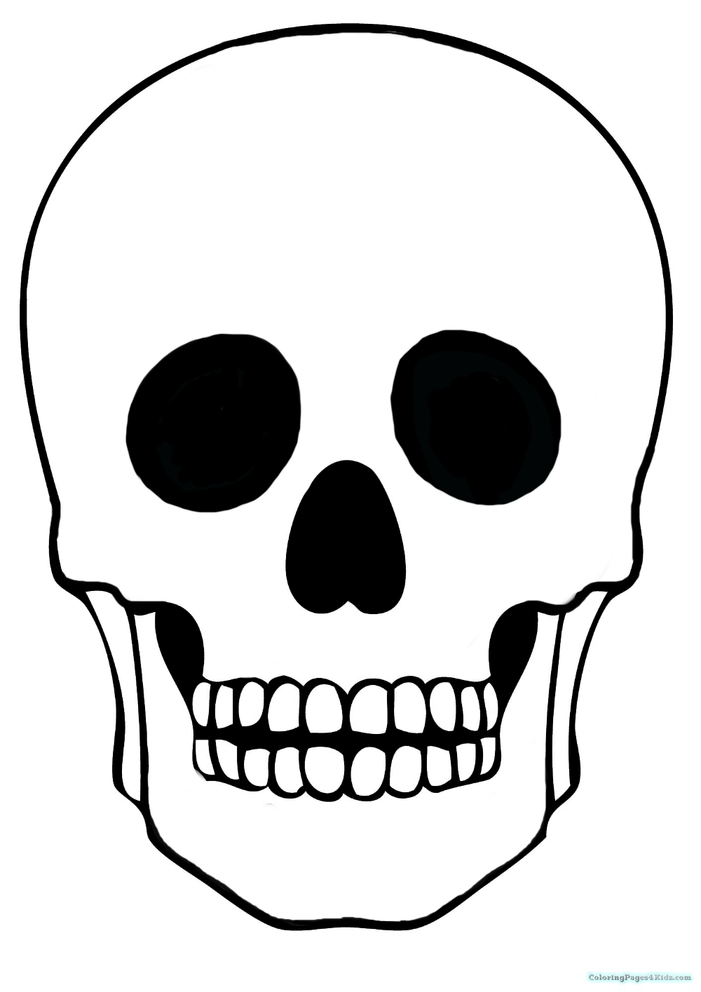 skull_template.png