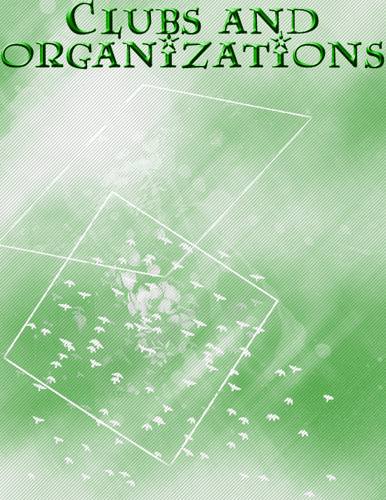 y45 Divider- Slytherin Clubs and Organization.gif