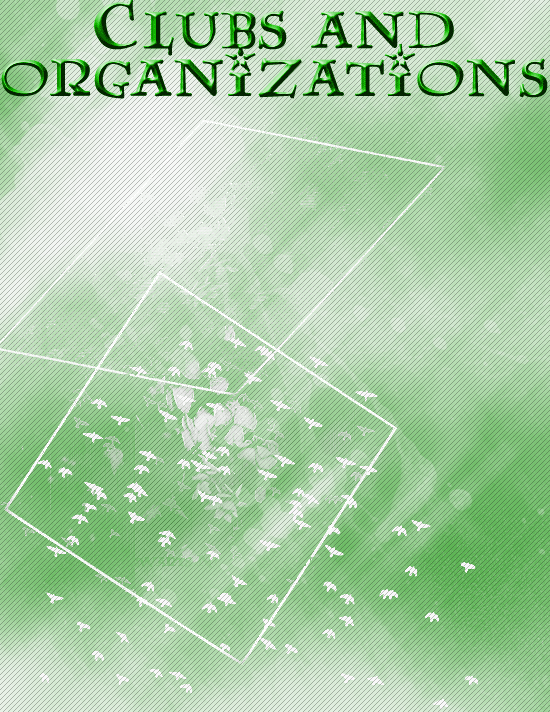 y47 Divider- Slytherin Clubs and Organization.gif