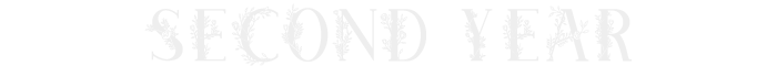 year2.png